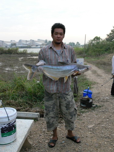 อัพเดทรูป เรือนแพ ฟิชชิ่ง 11พย2550