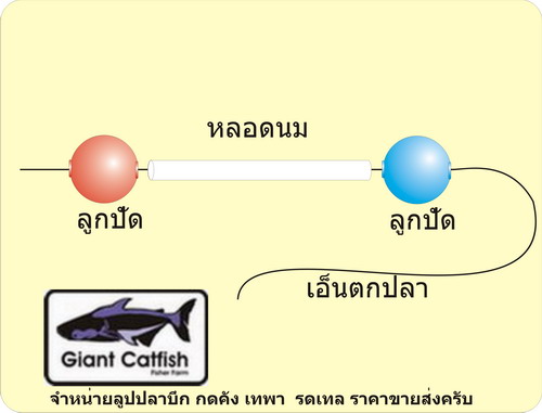 ทุ่นลูกปัดตกกุ้งแม่น้ำ