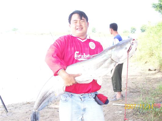 ปลาค้าวหน้าดินครับ