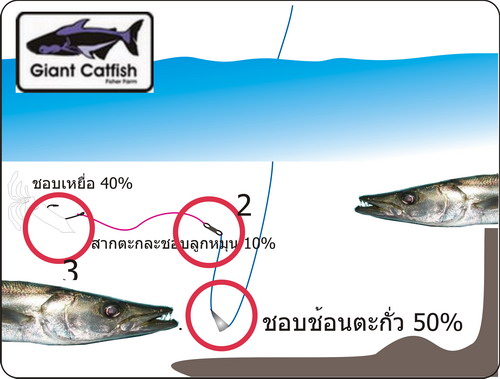 สากกัดสาย
