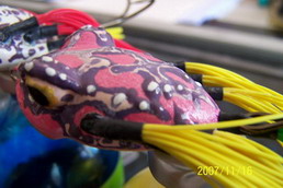 ลองดูงานของผม  ทำประมาณ  ปี 2005