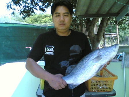 ลากเหยื่อปลอมหลังเกาะเสม็ดระยอง