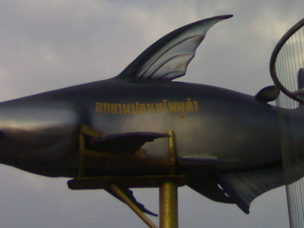 อุทยานปลาเทโพหูดำ....ที่แม่น้ำนครชัยศรี