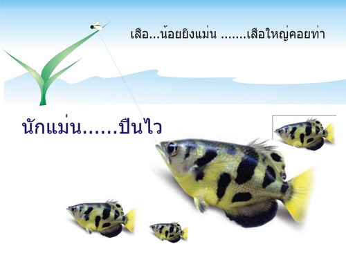 ยิงแม่นตายก่อน