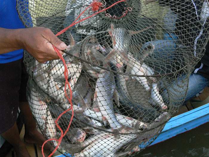 เรือนแพ fishing ใน วันเพ็ญเดือนสิบสอง