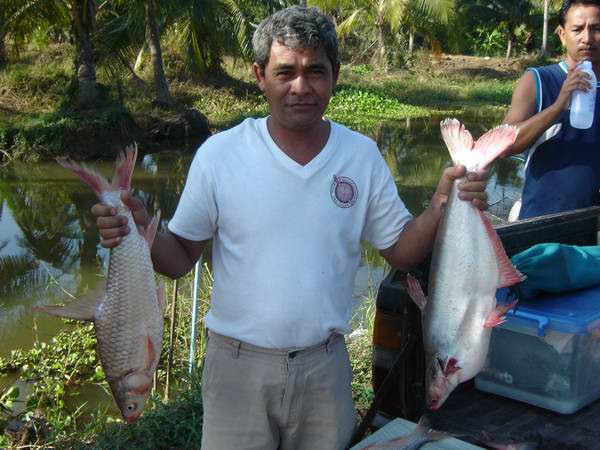 เรือนแพ fishing ใน วันเพ็ญเดือนสิบสอง