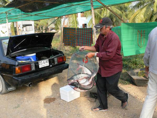 เรือนแพ fishing ใน วันเพ็ญเดือนสิบสอง