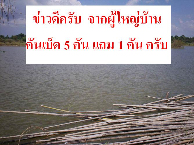 ปิดบ่อ หนองอ้อ พิจิตร