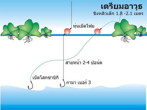 ปลาเล็กแต่อร่อย