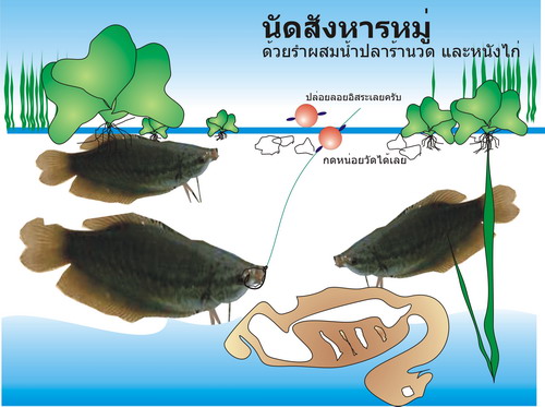 ปลาเล็กแต่อร่อย