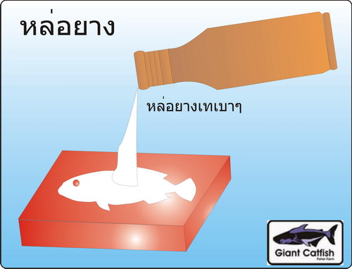 ทำเหยื่อยางโคลนนิ่ง