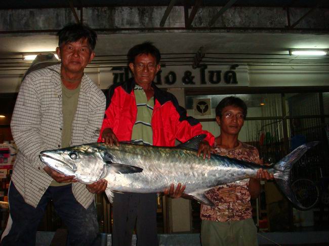 ปลาอินทรีย์ใหญ่ที่จันทบุรี
