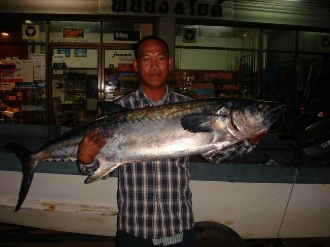 ปลาอินทรีย์ใหญ่ที่จันทบุรี