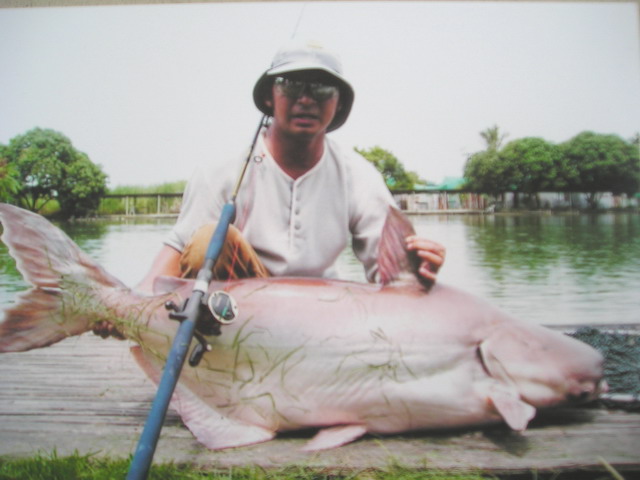 **ไม่มี...เหงาบ่อนิวหนองบัว 1 **