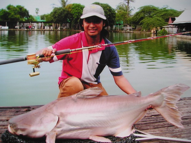 **ไม่มี...เหงาบ่อนิวหนองบัว 1 **