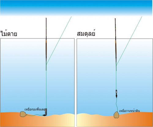 หัดตกชิงหลิว