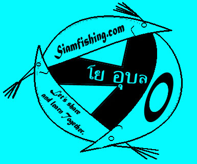 วิธีง่ายๆ ในการตรวจสอบ สินค้าที่ส่งทางไปรษณีย์