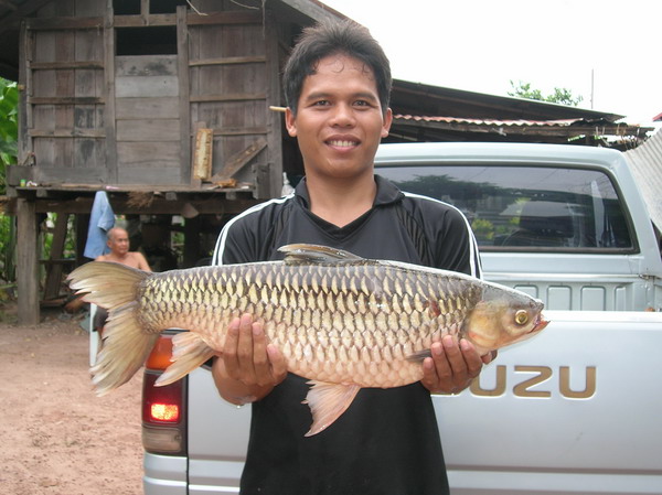 หนึ่งงานที่อ่างโบราณ