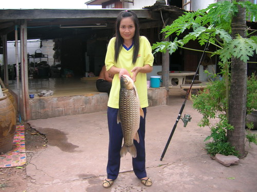หนึ่งงานที่อ่างโบราณ