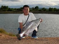 ไปตกปลานิล แต่ไม่รู้มันมาได้ไง