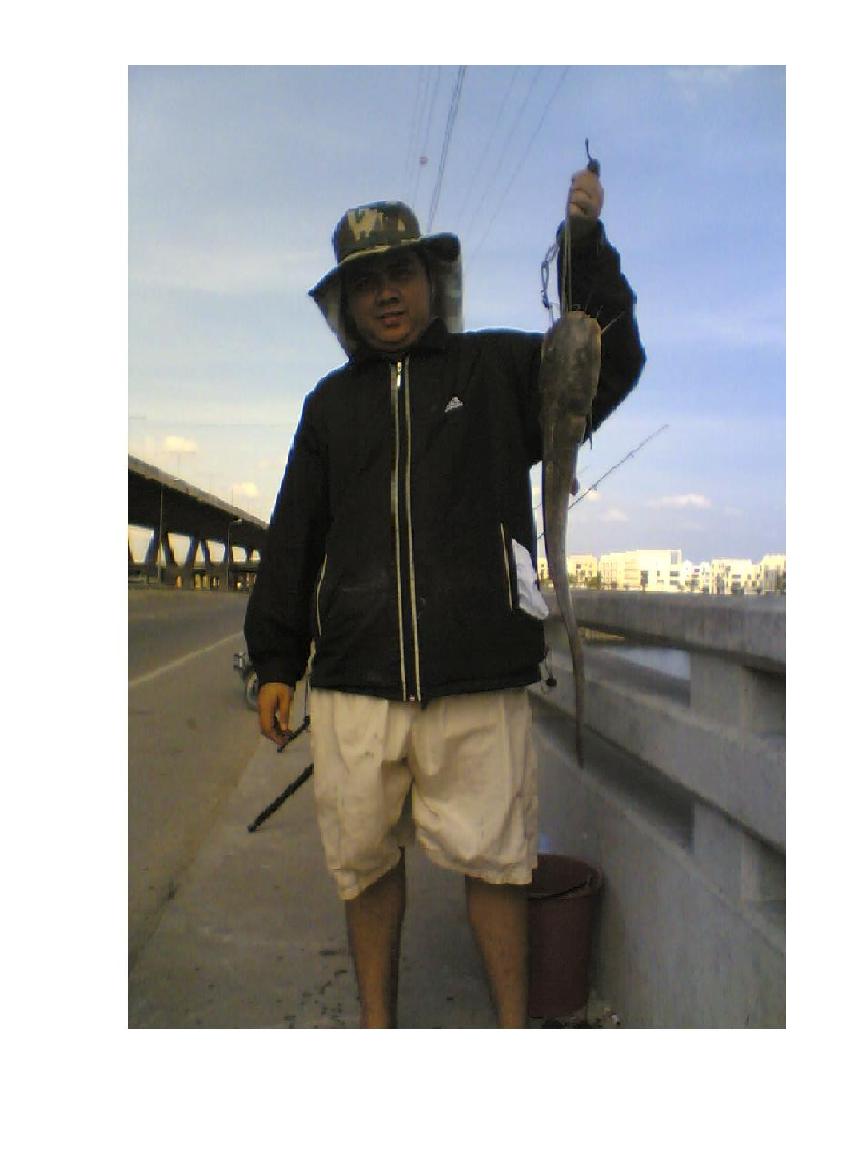 ดุกทะเลที่สะพานบางประกง