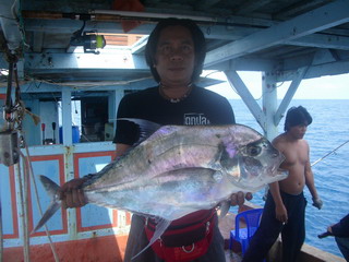 ทริป 1วัน1คืน