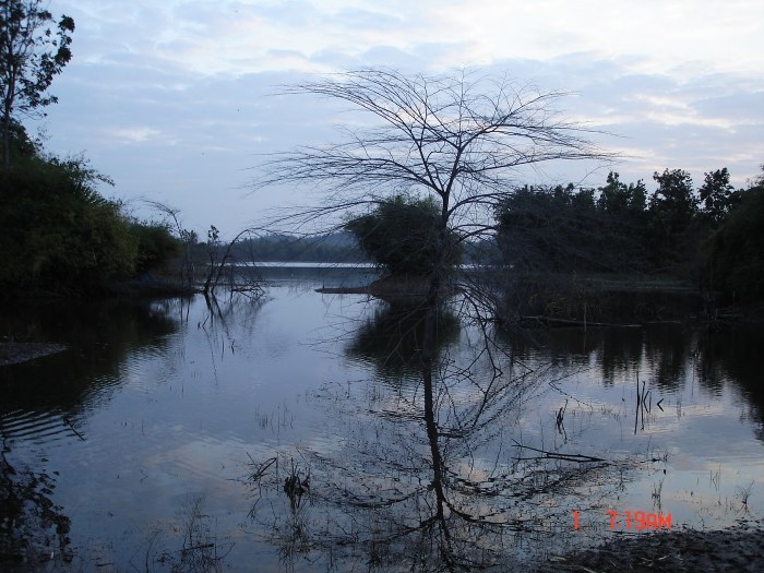 รวมรูปปลาช่อนส่งท้ายปี50ครับ