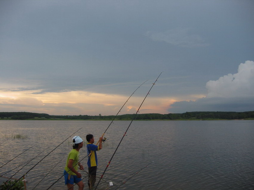 คืนถิ่น..บินหลาดง (ที่นี้.ประเทศไทย อ่างดอกกราราย)