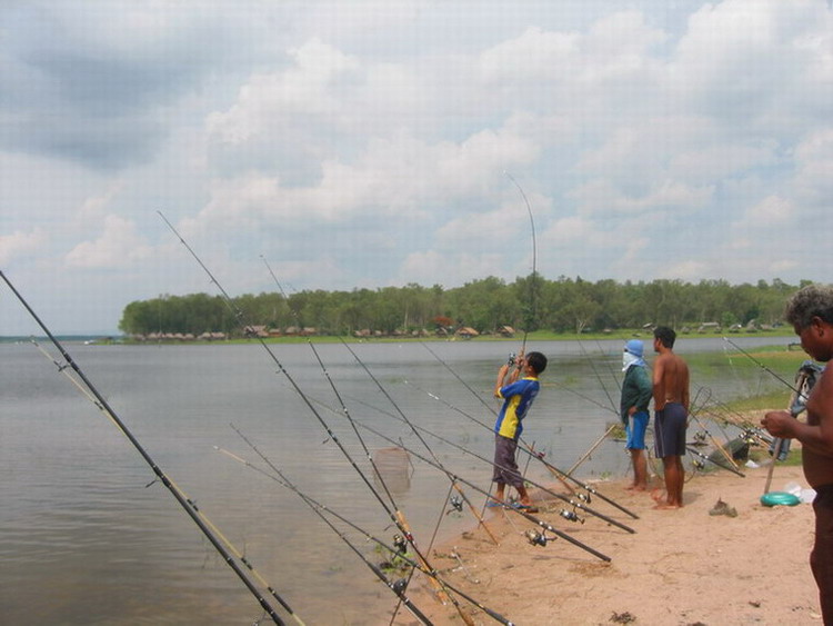 คืนถิ่น..บินหลาดง (ที่นี้.ประเทศไทย อ่างดอกกราราย)