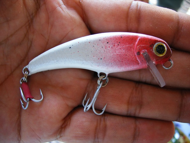 Sinking Lure