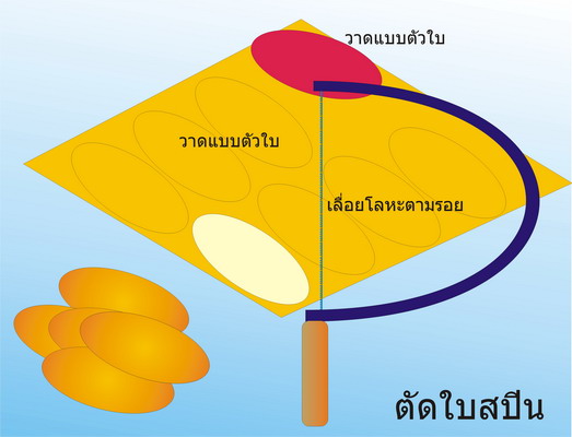 หัดทำสปินเนอร์กัน