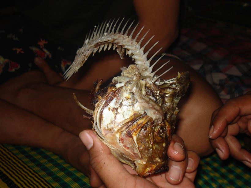 adventure    ท่องไปในแดน   ห้วยแม่ขมิ้น