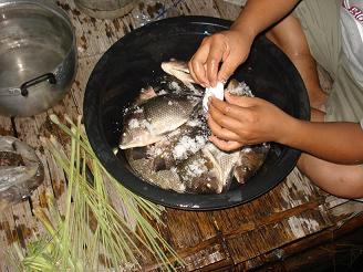 adventure    ท่องไปในแดน   ห้วยแม่ขมิ้น