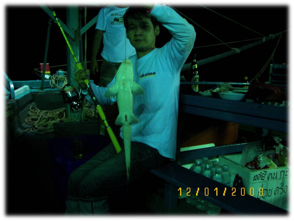 หมายกลางอ่าวRATE.11 โดยNew Wave Team