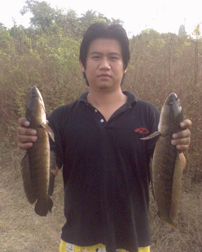 การกลับมาอีกครั้งของบ่อทรายร้าง อ.กำแพงแสน (ภาค 2)