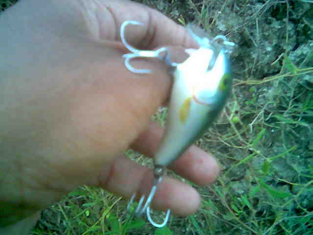 2ผลงานเหยื่อ rapala