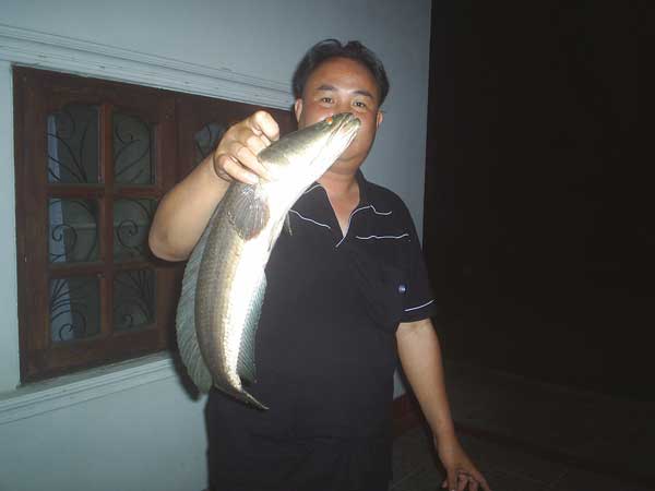 ตกปลาช่อนหลังเลิกงาน