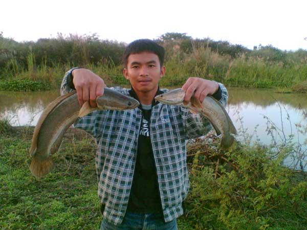 ตกปลาช่อนหลังเลิกงาน