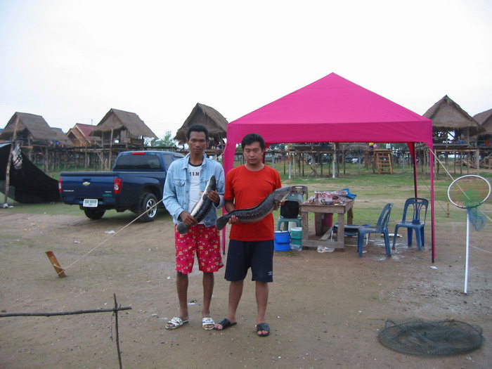 มิตรภาพไร้พรมแดน (ที่นี้..ประเทศไทย / อ่างดอกกราย)