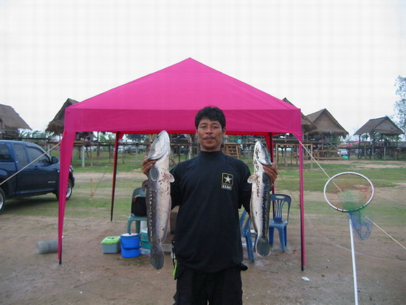 มิตรภาพไร้พรมแดน (ที่นี้..ประเทศไทย / อ่างดอกกราย)