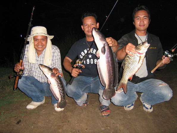 ชะโด-กระสูบ บึงบระเพชร จ.นครสวรรค์