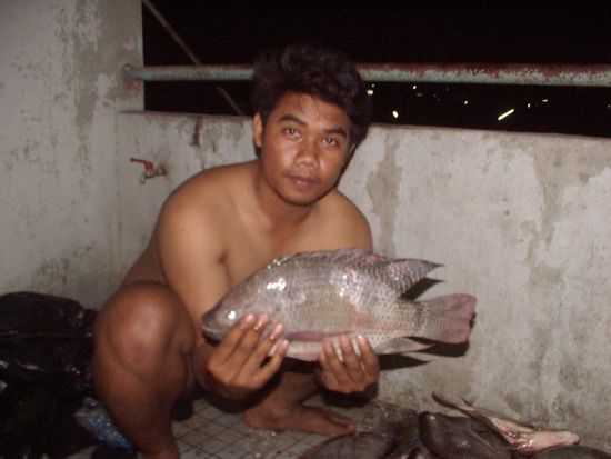 หมายธรรมชาติ โดย เค เพิ่มสิน