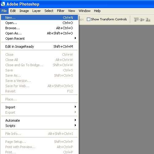 การทำ +ลายน้ำลิขสิทธิ์++แบบง่าย++แบบที่ 2