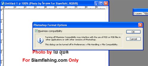 การทำ +ลายน้ำลิขสิทธิ์++แบบง่าย++แบบที่ 2