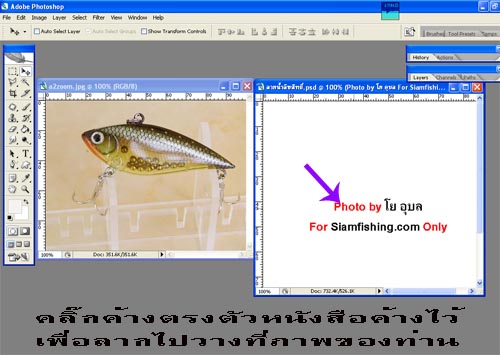 การทำ +ลายน้ำลิขสิทธิ์++แบบง่าย++แบบที่ 2