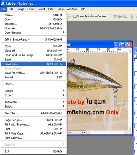 การทำ +ลายน้ำลิขสิทธิ์++แบบง่าย++แบบที่ 2