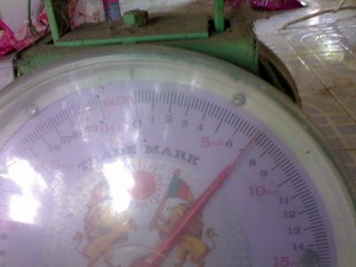 ปลาเทโพแม่น้ำน้อย....โดยเฟิร์สท่าข้าม