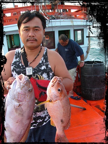 ไม่ได้จัดทริบเเต่เป็นเเค่ทางผ่าน