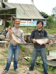 เรือนเเพฟิชชิ่ง(บางไทร)