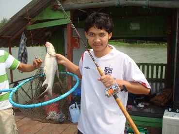 ปลาเค้าที่บางไทร
